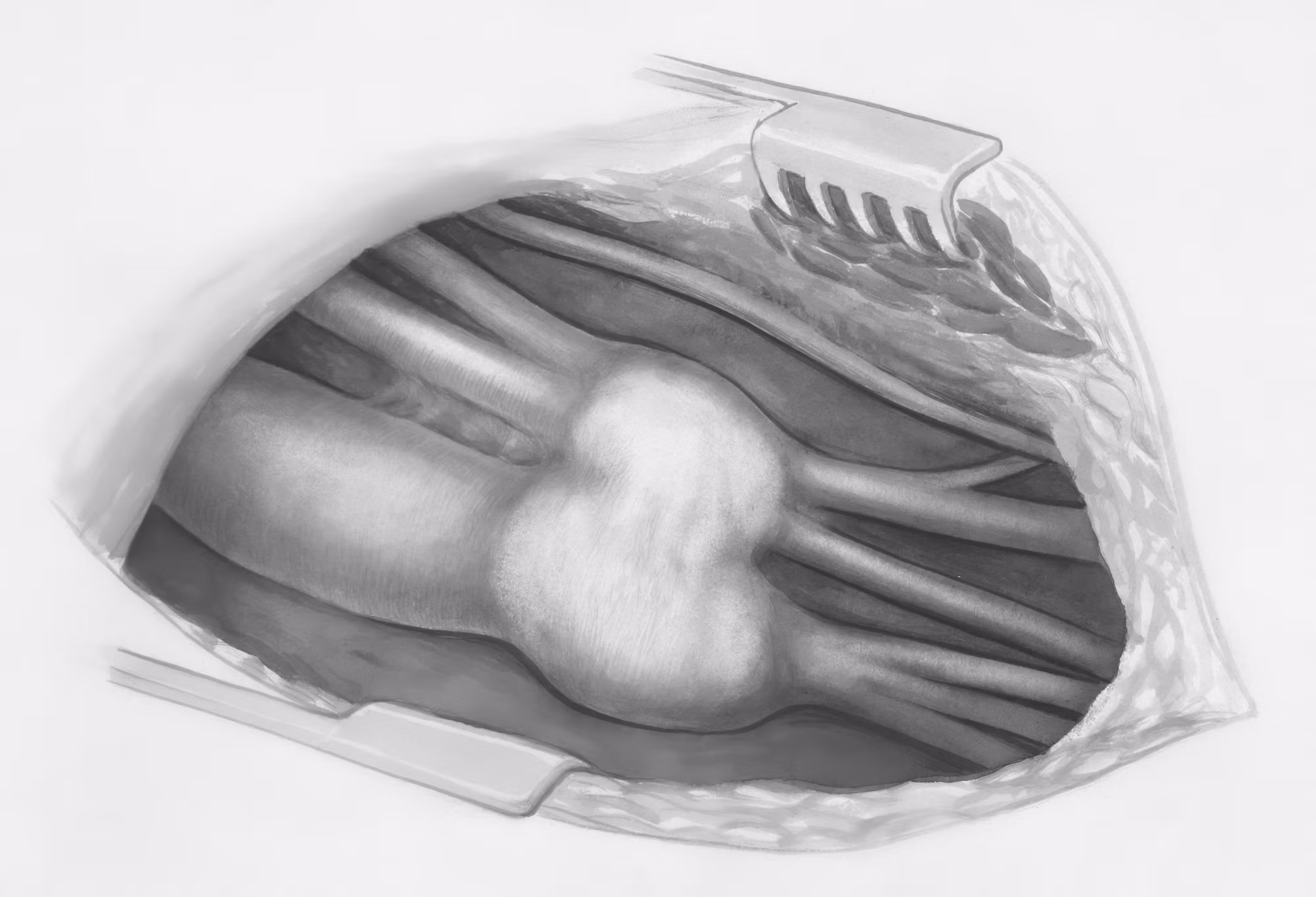 The Evolution of Medical Technology: Innovations Shaping the Future of Healthcare